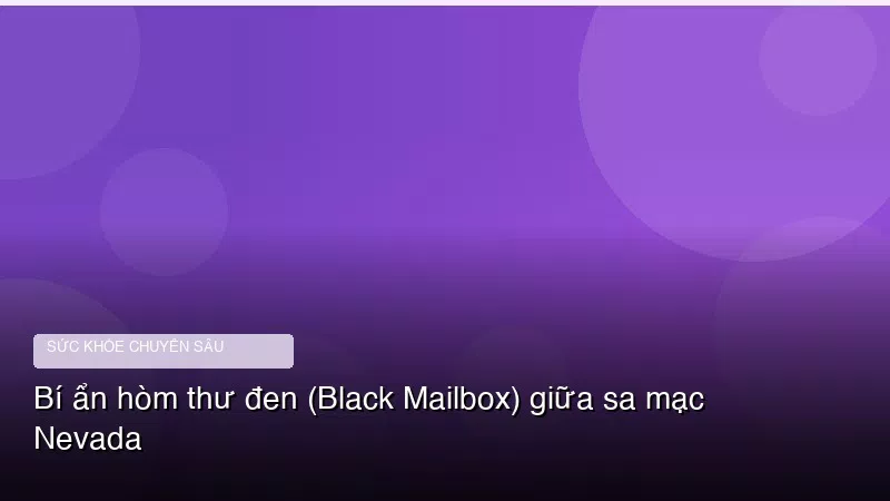 Phân tích y khoa hình ảnh Bí ẩn hòm thư đen (Black Mailbox) giữa sa mạc Nevada